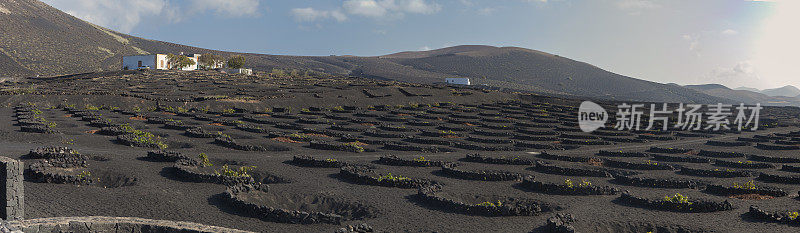 La Geria火山葡萄酒谷